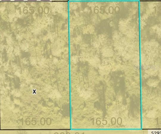 This is a map showing a rectangular plot of land with dimensions labeled 165.00 — 5014 MAHOGANY BOULEVARD, BUNNELL, FL