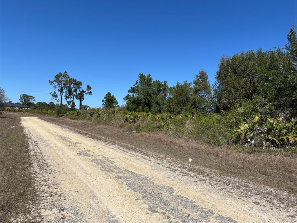 A dirt road runs alongside a vacant, wooded lot under a clear blue sky — 413 & 415 FERNWOOD AVENUE S, LEHIGH ACRES, FL