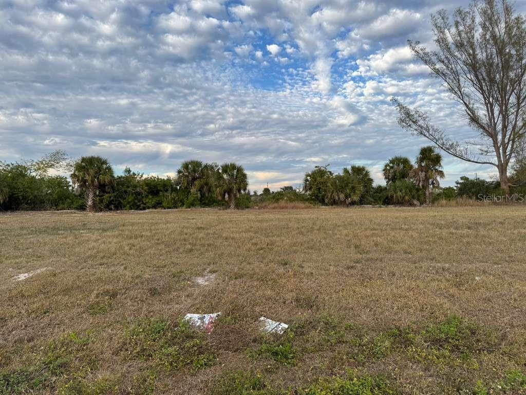 A wide, grassy vacant lot features scattered palm trees under a cloudy blue sky — 1845 NE 23RD STREET, CAPE CORAL, FL