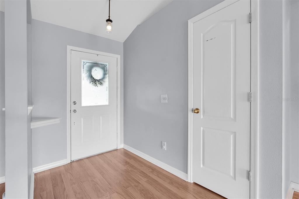 An entryway features light gray walls, wood-look flooring, a white front door, and a closet door — 24308 LANDING DRIVE, LUTZ, FL