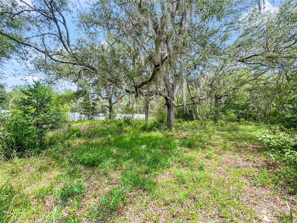 A wooded lot with large oak trees draped in Spanish moss under a blue sky — 23162 SW NEPTUNE BOULEVARD, DUNNELLON, FL