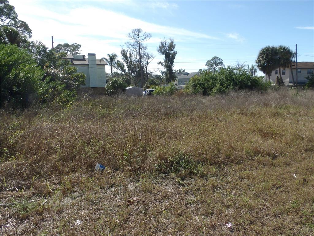 An overgrown, vacant lot features dry grass, scattered shrubs, and trees under a blue sky — 523 DORIC COURT, TARPON SPRINGS, FL