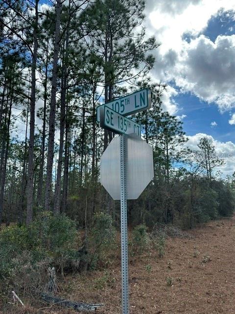 A street sign for SE 105th Ln and SE 135th Ct stands before a wooded area — 00 SE 135TH COURT, DUNNELLON, FL