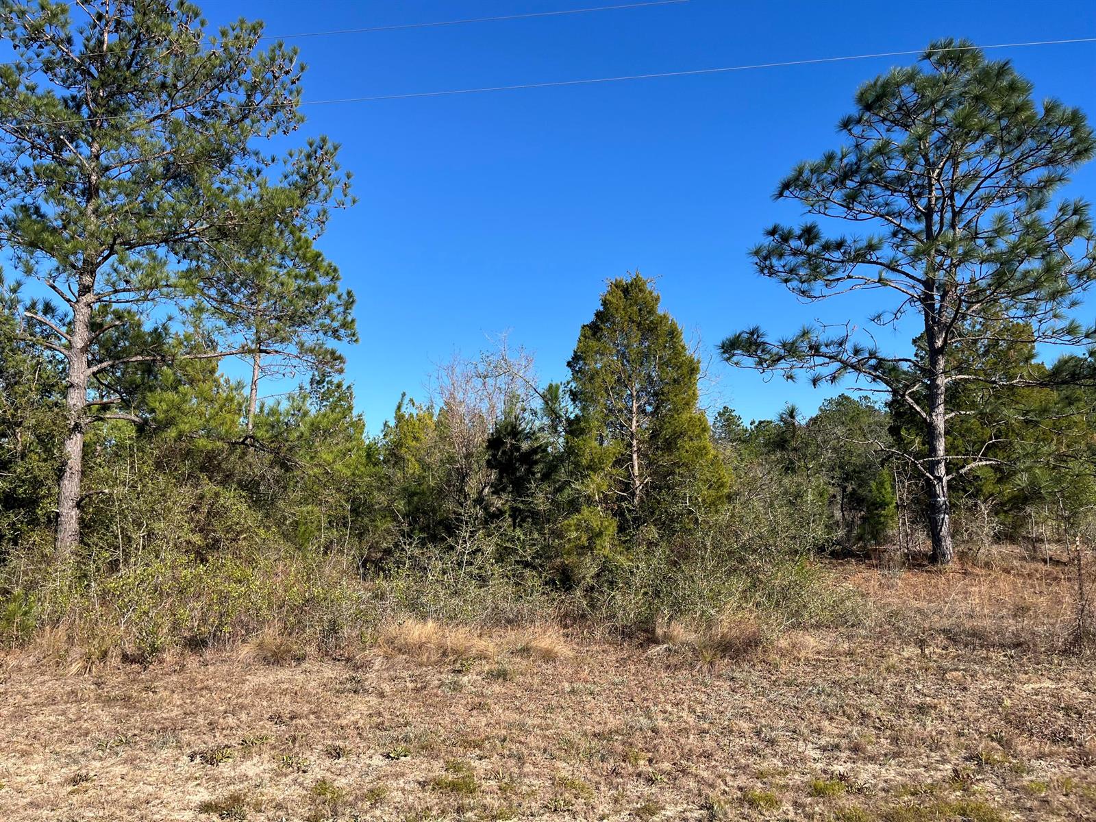 Tbd Fairview Road, FL 32448