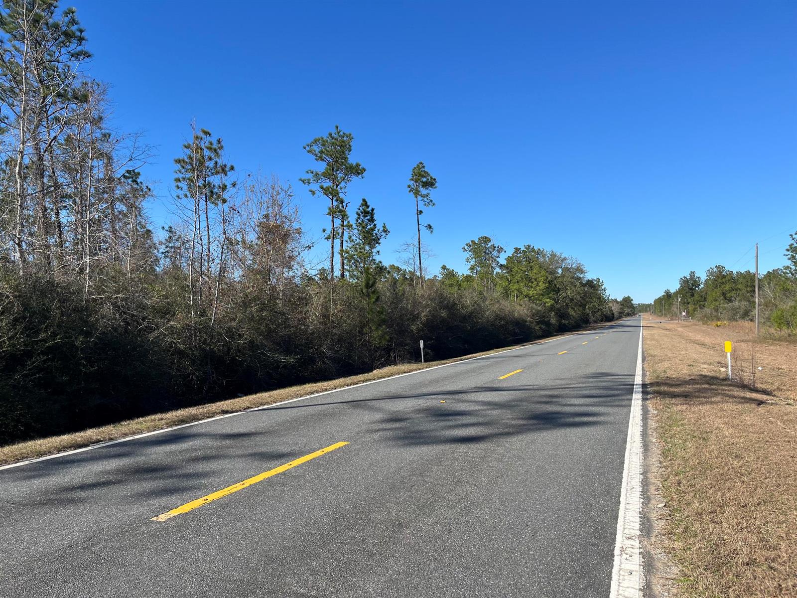 A paved road stretches into the distance, flanked by a treeline and dry grassy shoulders — Tbd Fairview Road, FL 32448, FL