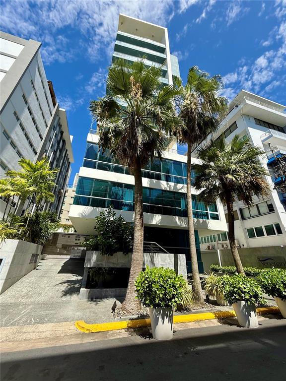 A low-angle view of a modern high-rise building with palm trees in the foreground — 7 C.  MANUEL RODRIGUEZ SERRA UNIT 9, SAN JUAN, PR