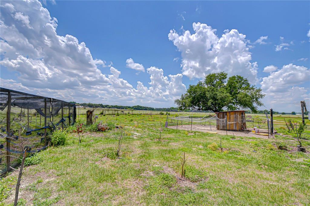 A grassy backyard features a screened enclosure, a small wooden shed, and a large tree — 4036 MOORES LAKE ROAD, DOVER, FL