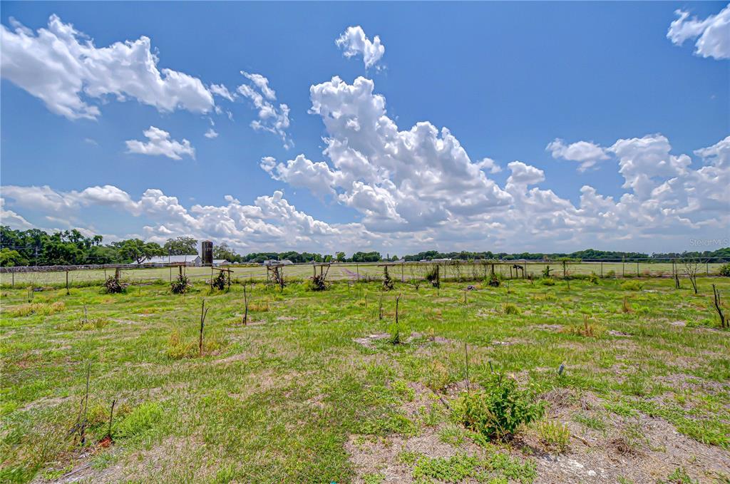 A grassy field features young saplings supported by stakes and a wire fence line — 4036 MOORES LAKE ROAD, DOVER, FL