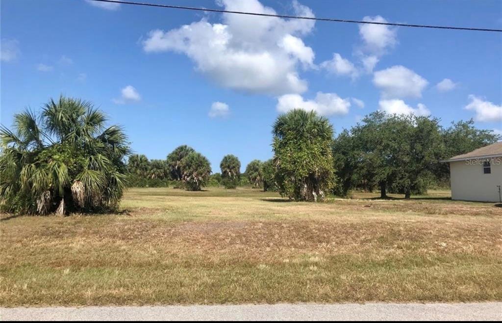 A grassy, vacant lot features scattered palm trees and a partial view of a house — 215 W PINE VALLEY LANE, ROTONDA WEST, FL