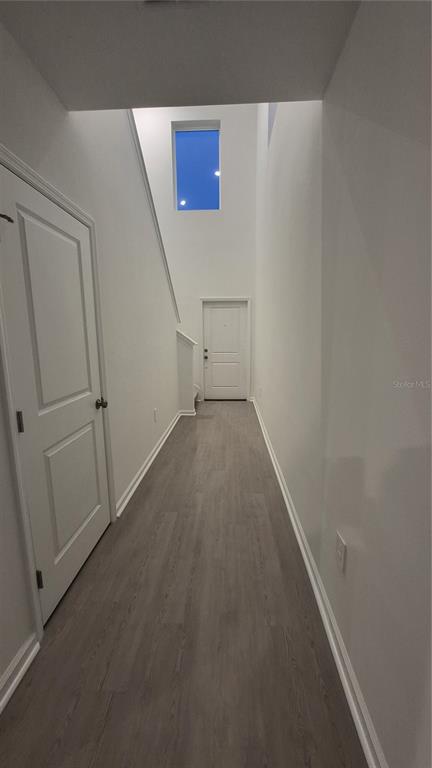 A narrow hallway with light gray wood-look flooring leads to a white door under a skylight — 6220 BOTTICELLA BOULEVARD, WINTER HAVEN, FL