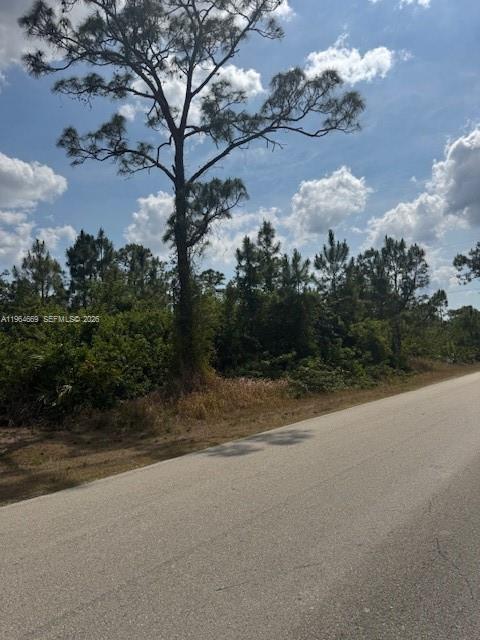 A tall pine tree stands beside a paved road bordering a wooded lot — 3104 E 10th ST, Lehigh Acres FL 33972, LEHIGH ACRES, FL