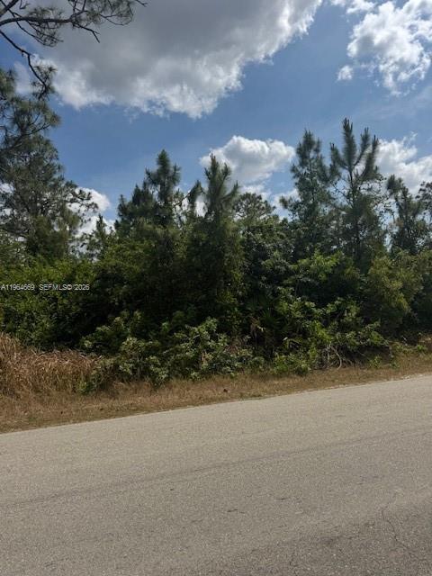 A paved road runs alongside a vacant lot filled with dense trees and brush — 3104 E 10th ST, Lehigh Acres FL 33972, LEHIGH ACRES, FL