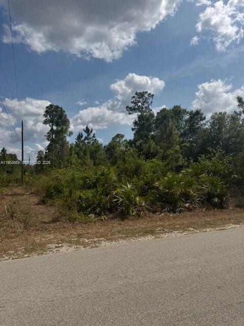 A vacant, wooded lot sits beside a paved road under a cloudy blue sky — 3104 E 10th ST, Lehigh Acres FL 33972, LEHIGH ACRES, FL