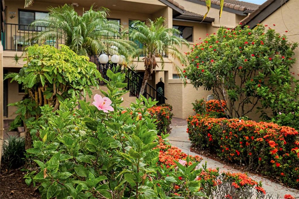 A two-story apartment building exterior features lush landscaping, flowering bushes, and a paved walkway — 5652 ASHTON LAKE DRIVE UNIT 5652, SARASOTA, FL