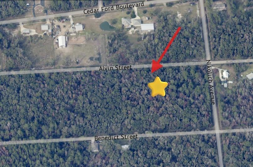 This is a map showing a highlighted rectangular plot of land in a wooded area — 4725 & 4715 ALVIN STREET, HASTINGS, FL