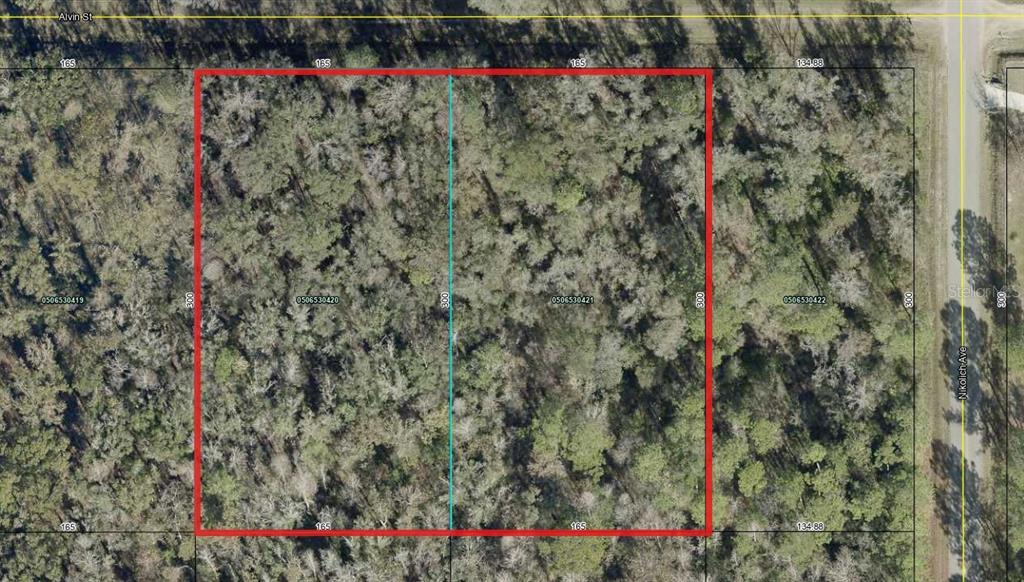 This is an aerial map showing a wooded lot marked with a yellow star — 4725 & 4715 ALVIN STREET, HASTINGS, FL