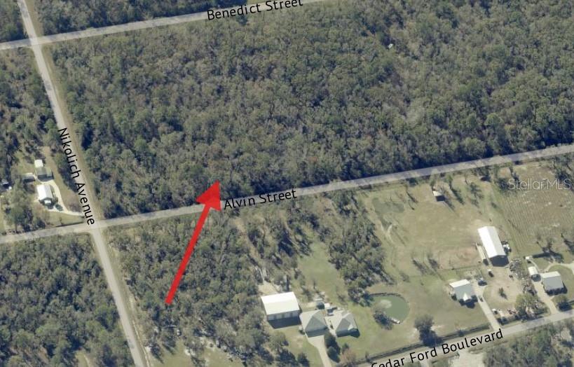 This is an aerial map showing four adjacent rectangular plots of land with wooded terrain — 4725 & 4715 ALVIN STREET, HASTINGS, FL