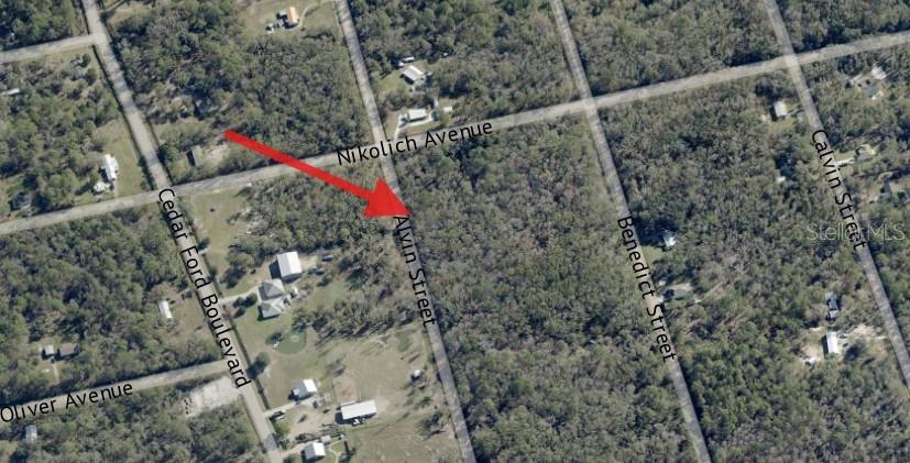 This is an aerial map view showing a wooded lot located near several residential streets — 4725 & 4715 ALVIN STREET, HASTINGS, FL
