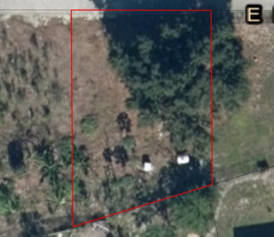 An aerial view shows a rectangular plot of land outlined in red with vegetation — 30 E Metcalfe Street, FL 33825, FL