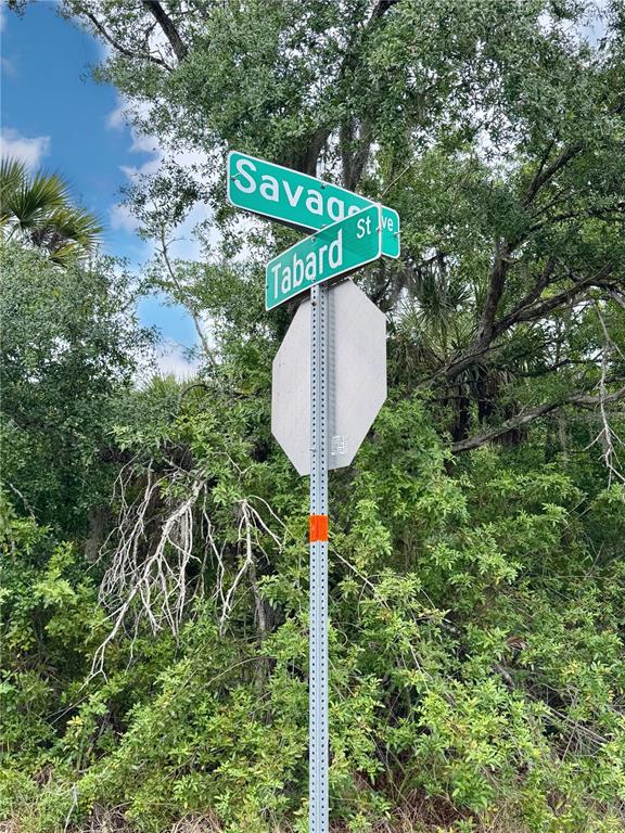A street sign at the intersection of Savage St and Tabard Ave stands before trees — 18039 SAVAGE AVENUE, PORT CHARLOTTE, FL