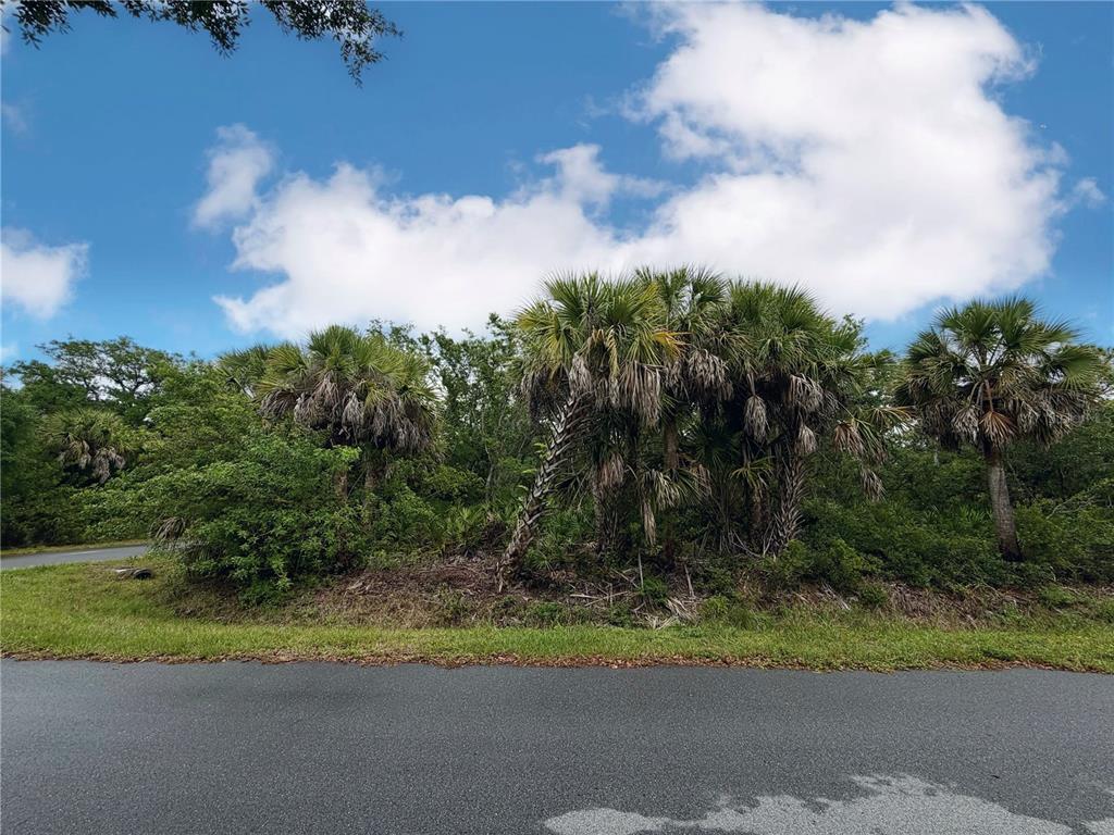A paved road runs in front of a wooded lot with several palm trees — 18039 SAVAGE AVENUE, PORT CHARLOTTE, FL
