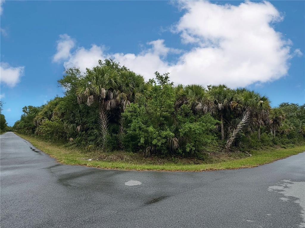 A corner lot with dense vegetation and palm trees sits between two paved roads — 18039 SAVAGE AVENUE, PORT CHARLOTTE, FL