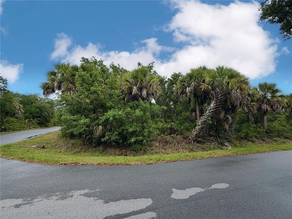A paved road curves around a corner lot featuring dense vegetation and several palm trees — 18039 SAVAGE AVENUE, PORT CHARLOTTE, FL