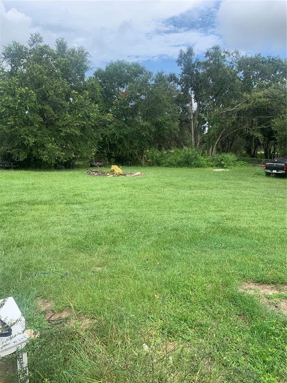 A large, grassy backyard features a fire pit area and mature trees under a cloudy sky — 1218 CR 416N, LAKE PANASOFFKEE, FL
