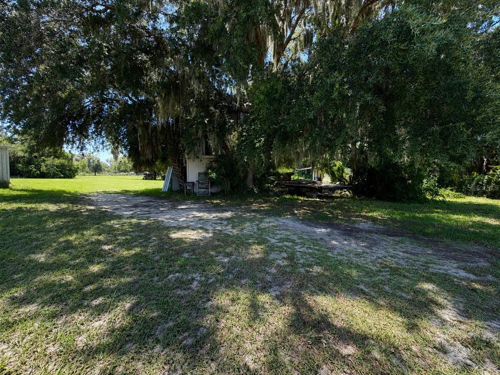 A dirt driveway leads toward a small structure shaded by large, moss-covered oak trees — 1218 CR 416N, LAKE PANASOFFKEE, FL