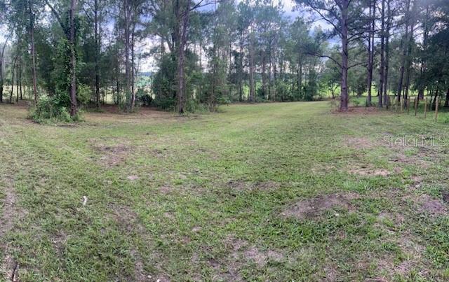 A grassy, partially cleared lot is surrounded by a dense forest of tall pine trees — Lot 19 254TH LANE, ALACHUA, FL