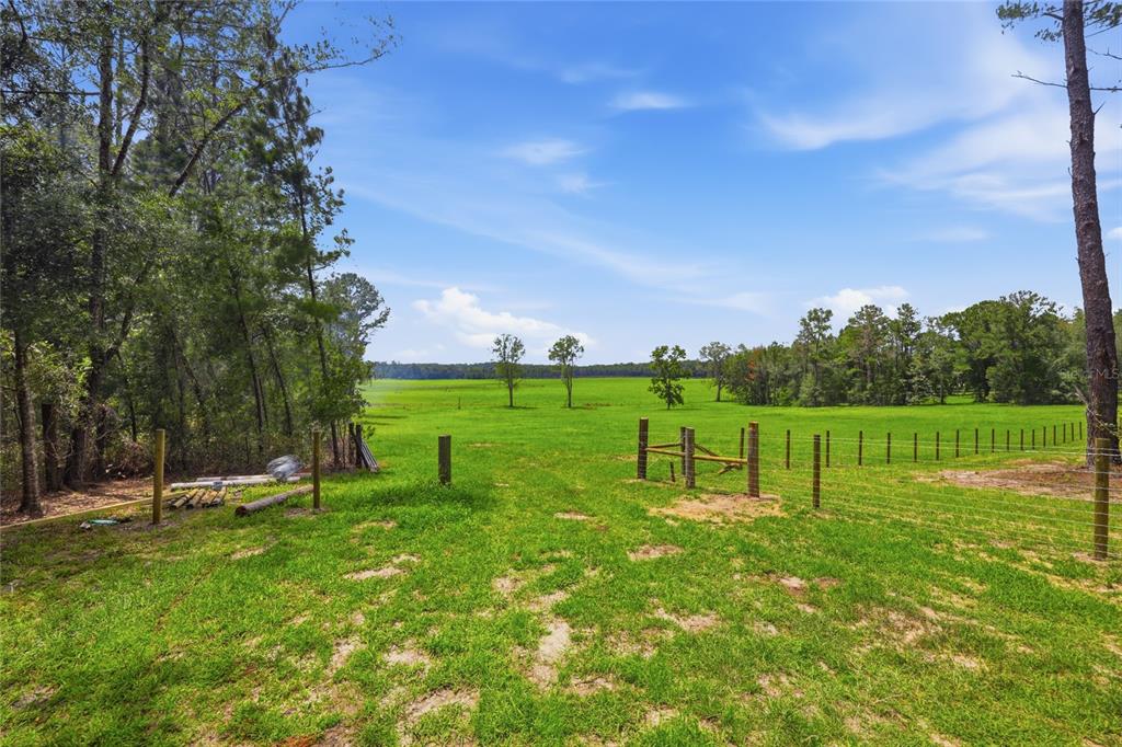 A grassy field with scattered trees and a fence line under a blue sky — Lot 19 254TH LANE, ALACHUA, FL