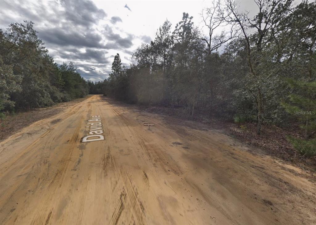 A dirt road runs through a wooded area under a cloudy sky — 917 DAVID AVENUE, INTERLACHEN, FL