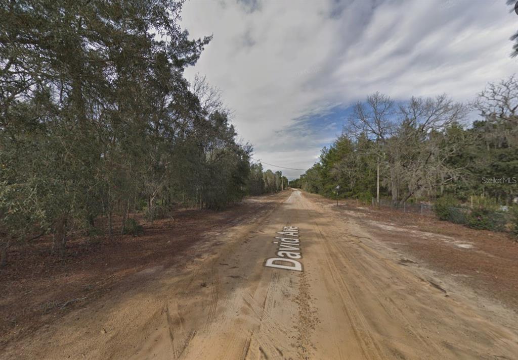 A dirt road stretches through a wooded area under a cloudy sky — 917 DAVID AVENUE, INTERLACHEN, FL