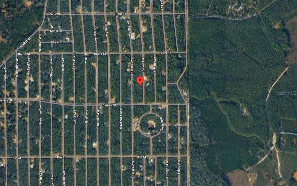 This is an aerial map view of a residential neighborhood with a red location pin — 917 DAVID AVENUE, INTERLACHEN, FL