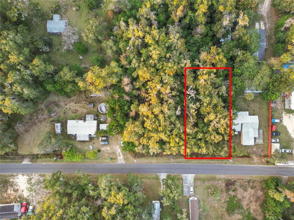 An aerial view shows a rectangular wooded lot outlined in red next to a house — 000 W GOLDENLEAF LANE, CRYSTAL RIVER, FL