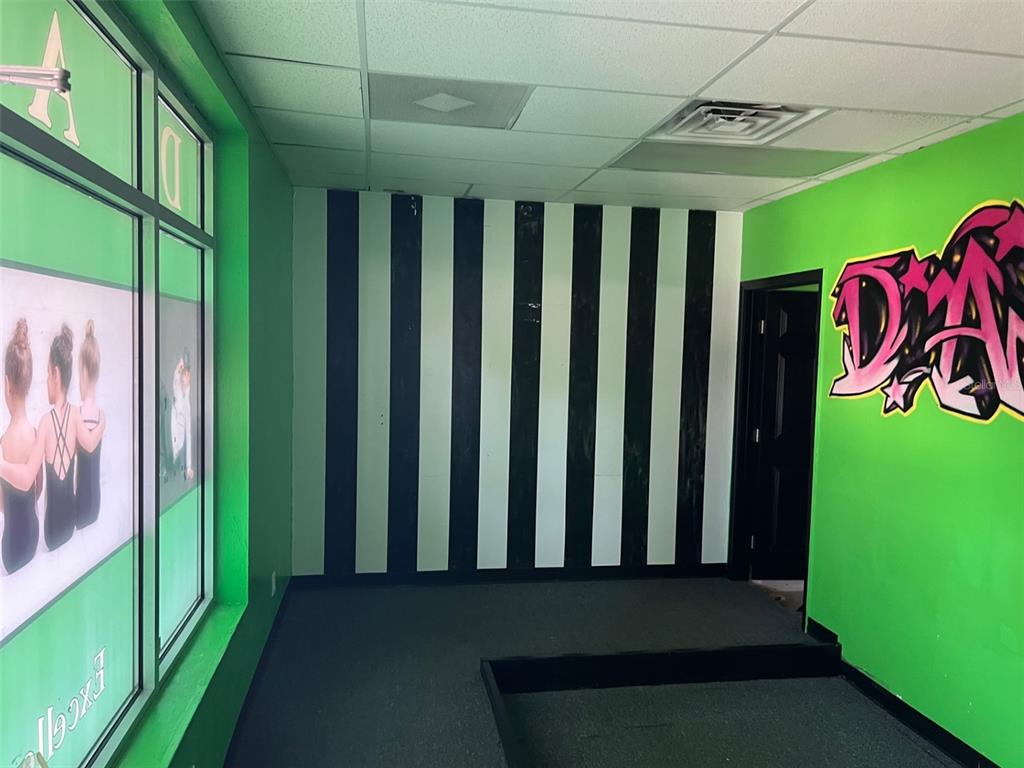 An interior room features bright green walls, a black and white striped accent wall, and carpeting — 15634 NW US HIGHWAY 441 UNIT E, ALACHUA, FL