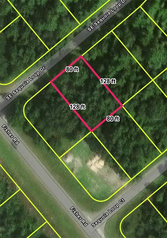 This is a satellite map showing a rectangular plot of land with dimensions highlighted — Lot 39 SE SEQUOIA LOOP DRIVE, OCKLAWAHA, FL