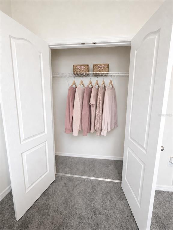 A closet with white doors, gray carpeting, a wire shelf, and hanging pink clothing — 1117 GRIFFON AVENUE, LAKE ALFRED, FL