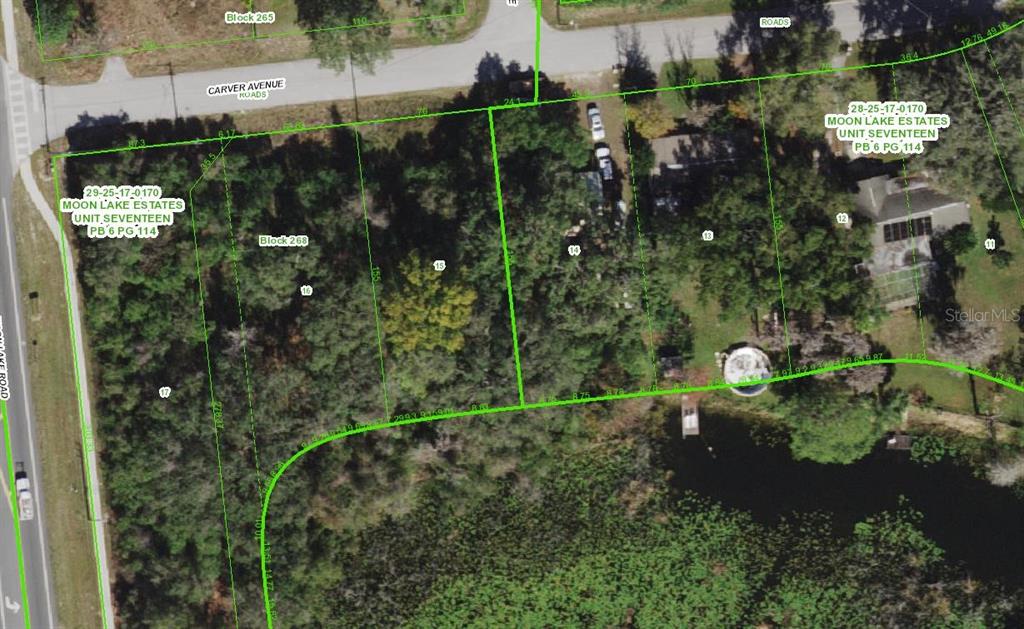 This is an aerial map showing property lot lines and parcel numbers for a wooded area — CARVER, NEW PORT RICHEY, FL