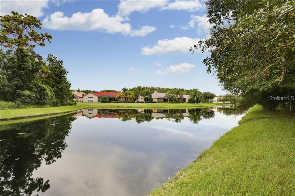 A calm pond reflects houses and trees under a blue sky with scattered clouds — 6020 CATLIN DRIVE, TAMPA, FL
