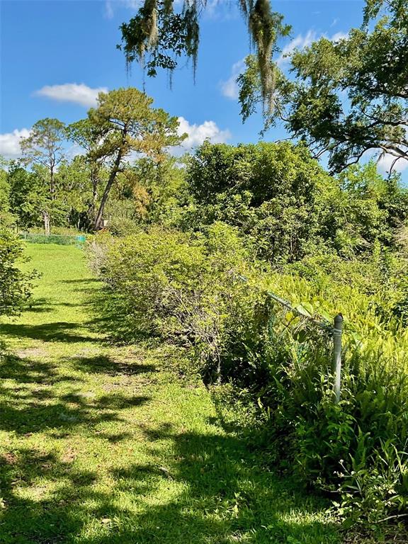 A grassy path runs alongside a chain-link fence bordering dense trees and vegetation — PAIGE AVENUE, NEW SMYRNA BEACH, FL