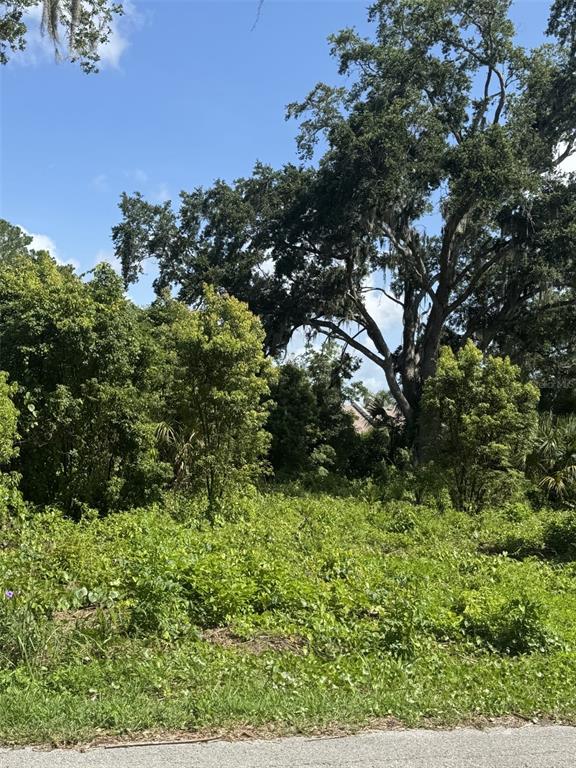 A vacant, overgrown lot features dense green vegetation and a large, mature oak tree — PAIGE AVENUE, NEW SMYRNA BEACH, FL