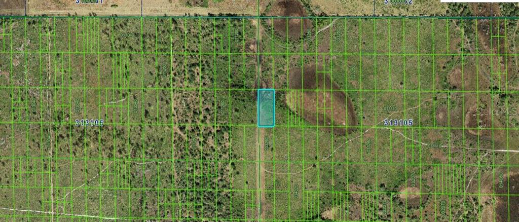 This is an aerial map showing a highlighted rectangular parcel of land among surrounding lots — SHADY OAKS DR, LAKE WALES, FL