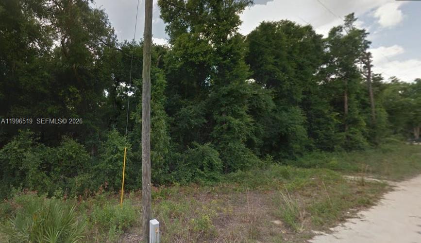 17809 SE 11 Ln, Other City - In The State Of Florida FL 34488