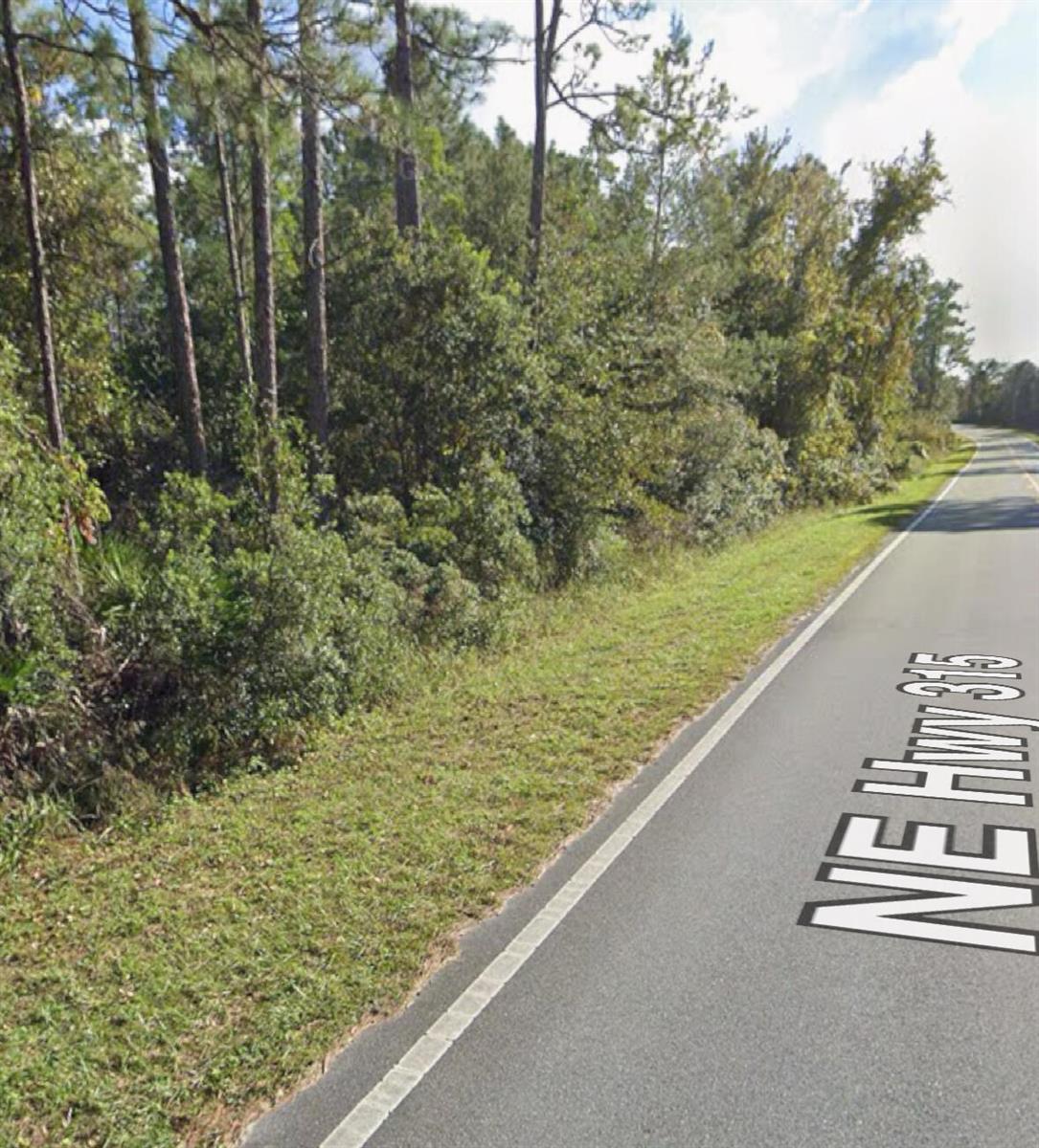 A paved road runs alongside a grassy shoulder bordered by a dense line of trees — 0 NE 315 Hwy, FL 32134, FL