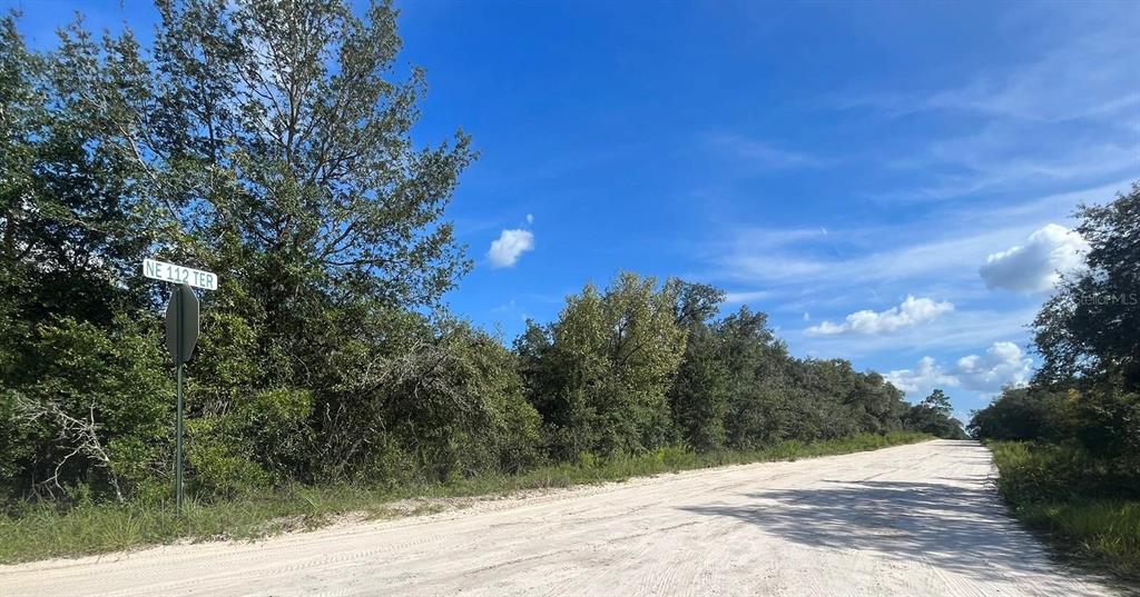 A dirt road runs alongside a wooded area with a street sign for NE 112 TER — 23-12-17 OAK RIDGE ESTATES BLK 27 LOT 1, WILLISTON, FL