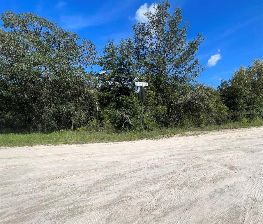A dirt road leads to a wooded lot marked by a street sign — 23-12-17 OAK RIDGE ESTATES BLK 27 LOT 1, WILLISTON, FL