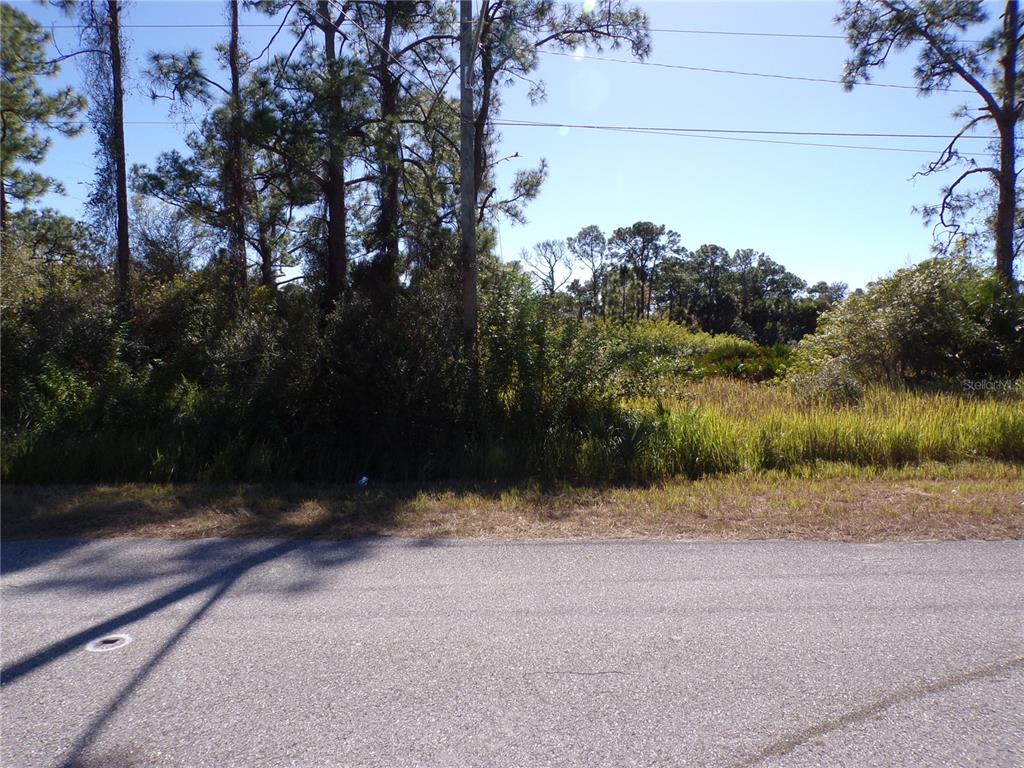 A view of a vacant, wooded lot from an adjacent paved road — 763 LONGBOW LANE, LEHIGH ACRES, FL