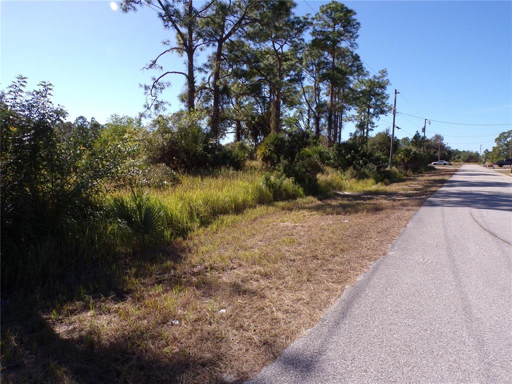 A paved road runs alongside a grassy, wooded vacant lot under a clear blue sky — 763 LONGBOW LANE, LEHIGH ACRES, FL
