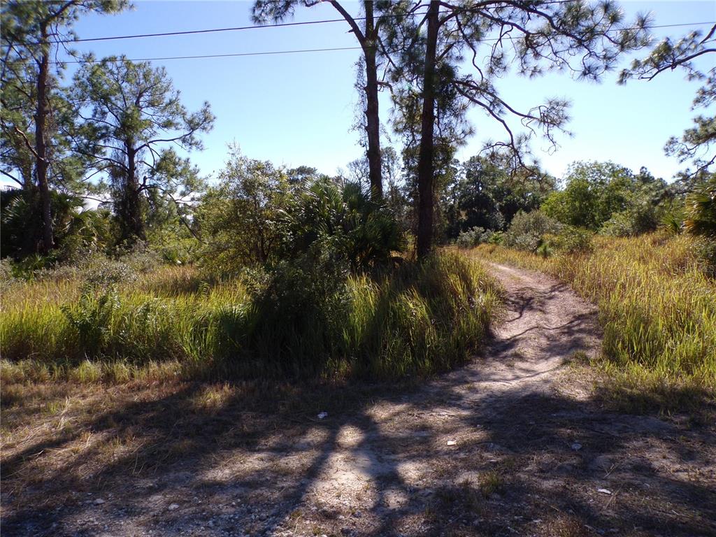 A dirt path winds through a grassy, wooded lot under a clear blue sky — 763 LONGBOW LANE, LEHIGH ACRES, FL